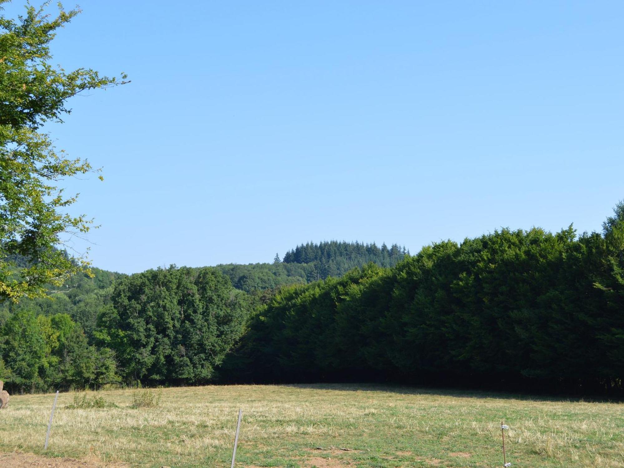 Villa Grande Ferme Renovee Avec Jardin Et Loisirs A Proximite - Fr-1-591-155 Pouligny-Notre-Dame Exterior foto