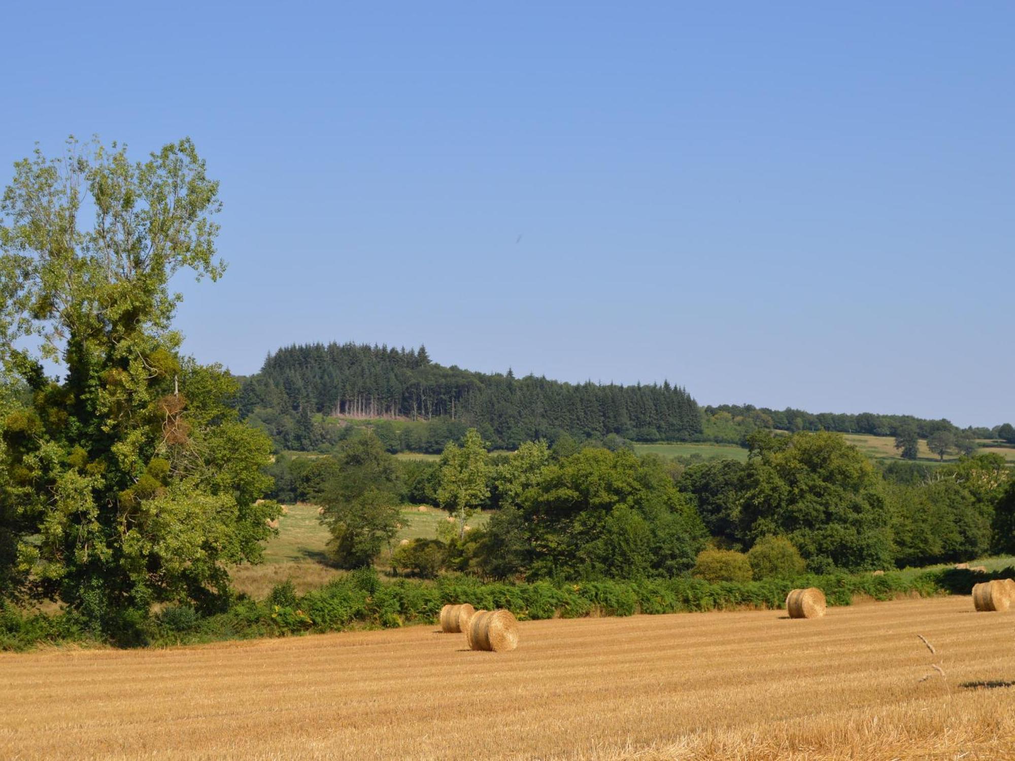 Villa Grande Ferme Renovee Avec Jardin Et Loisirs A Proximite - Fr-1-591-155 Pouligny-Notre-Dame Exterior foto